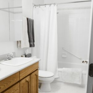 Domestic Bathroom